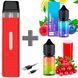 Набор Vaporesso Жидкостей и картриджей LostMary от ElfLiq 30 мл 2 шт (Вкусняшка) 86867 фото