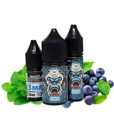 Рідина Самозаміс Flavorlab FL350 30ml Blueberry Menthol Чорниця Ментол 79653 фото