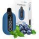 Roqy (Elf Bar) FLONQ 20000 28ml Blueberry Mint (Черника Мята) 89882 фото
