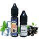 Жидкость Самозамес Flavorlab FL350 Mini 15ml Currant Menthol Смородина Ментол 79617 фото