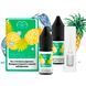 Рідина Самозаміс Flavorlab Disposable Puff 10мл 50мг Pineapple Ice Ананас лід 79850 фото